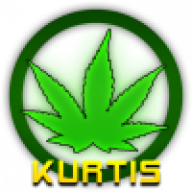 Kurtis