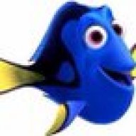 Dory