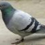 ledr