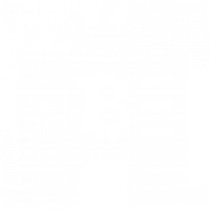 BitCasino