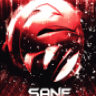 Sane