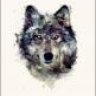 RGH Wolfy
