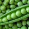 pea