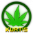 Kurtis