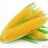 Cob