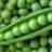 pea
