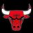 Chicago Bulls